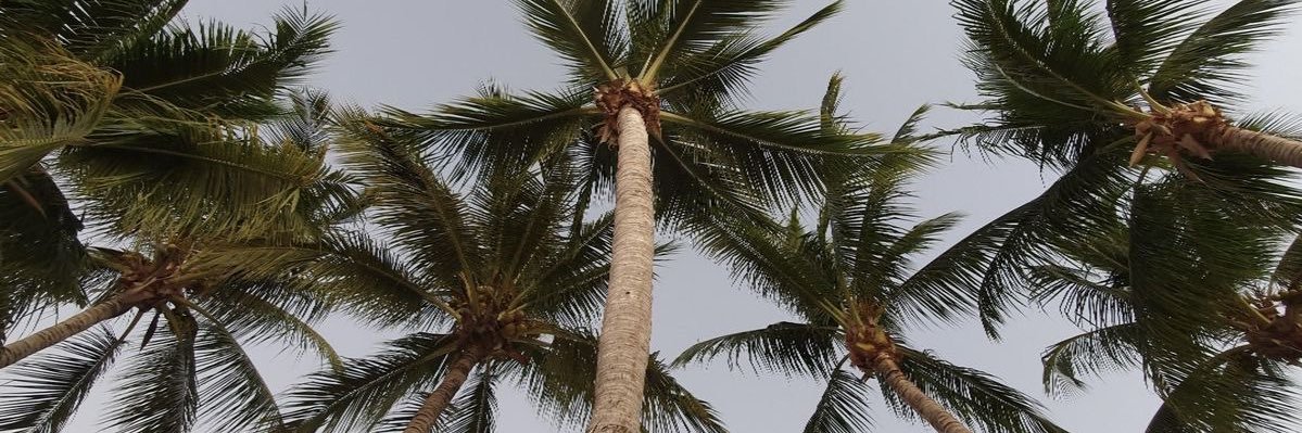 OS_perf's profile banner image