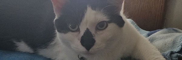 H2OAcidic Profile Banner