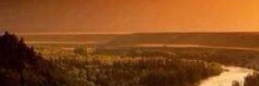 josabelq's profile banner image