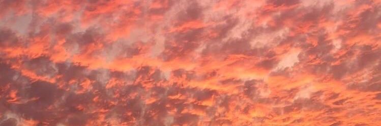 Cris ¹³ banner