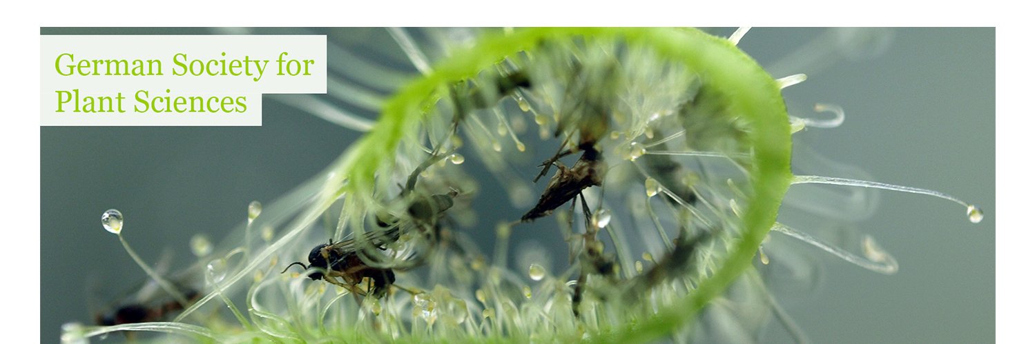 German Society for Plant Sciences (DBG)'s banner