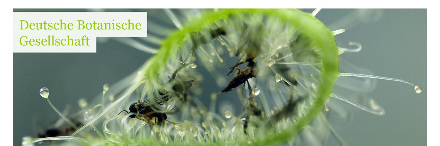 Deutsche Botanische Gesellschaft (DBG)'s banner