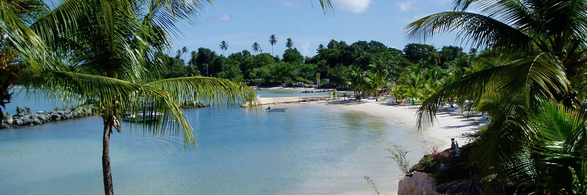Coco Reef - Tobago banner