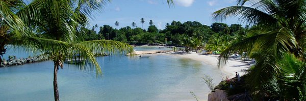 CocoReefTobago Profile Banner