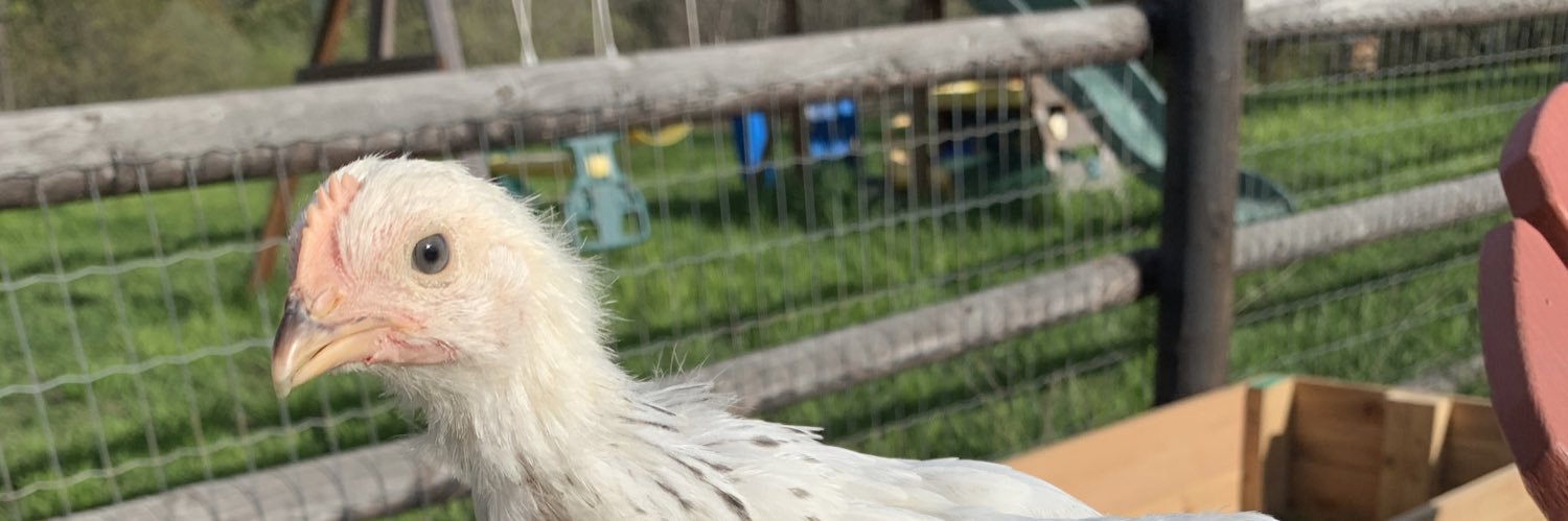 katelynparadis's profile banner image