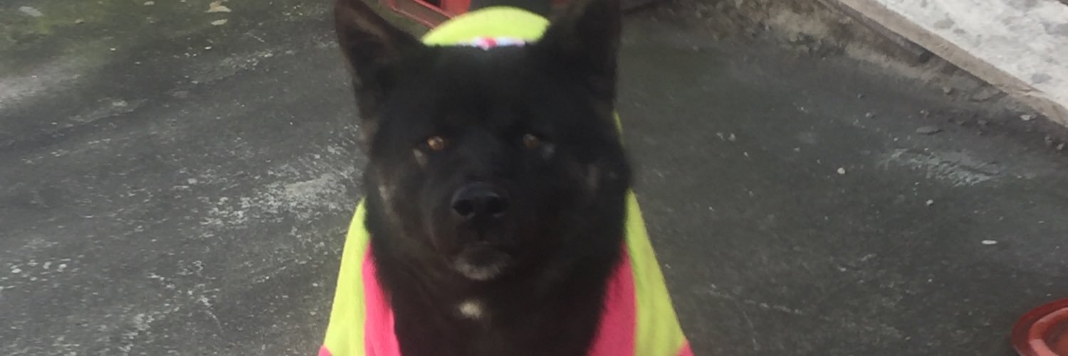 yeisson123's profile banner image