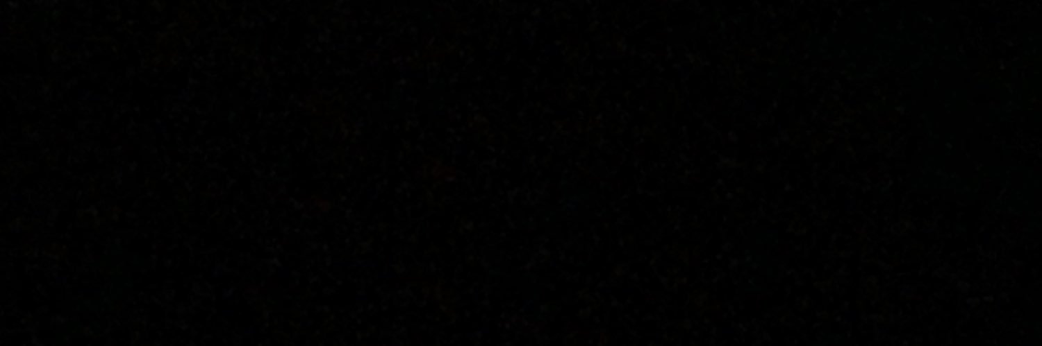 turtles_i_like_'s profile banner image
