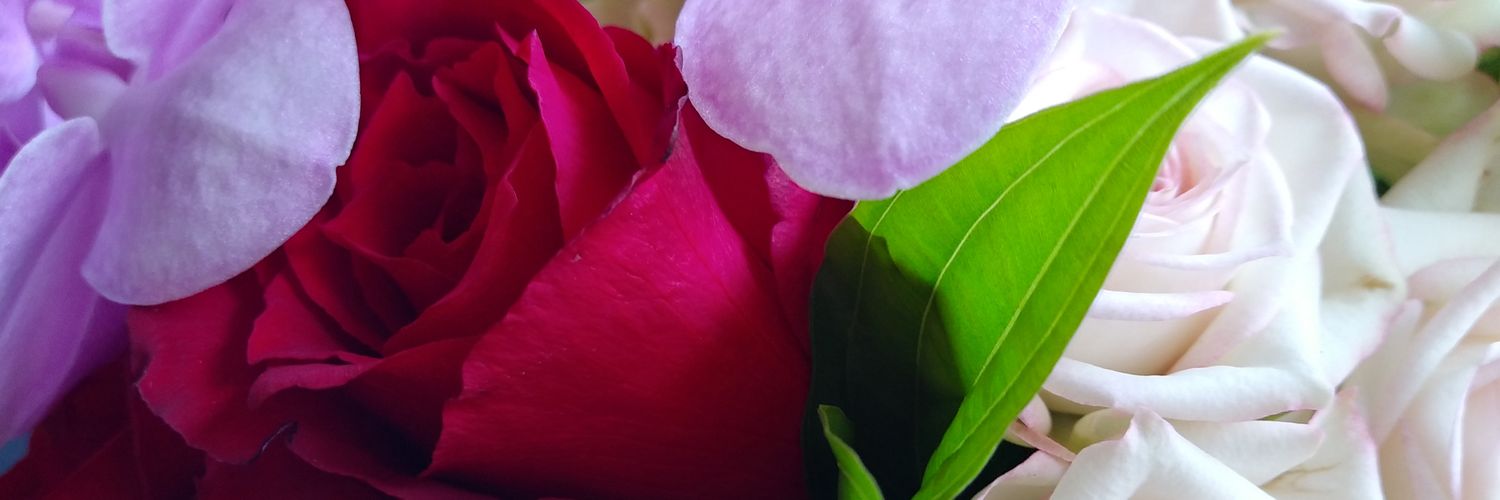 kekokiz's profile banner image