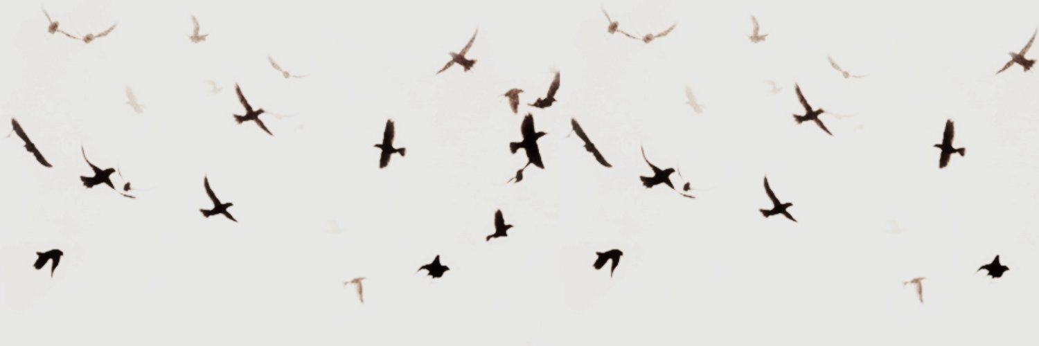 szeworm's profile banner image