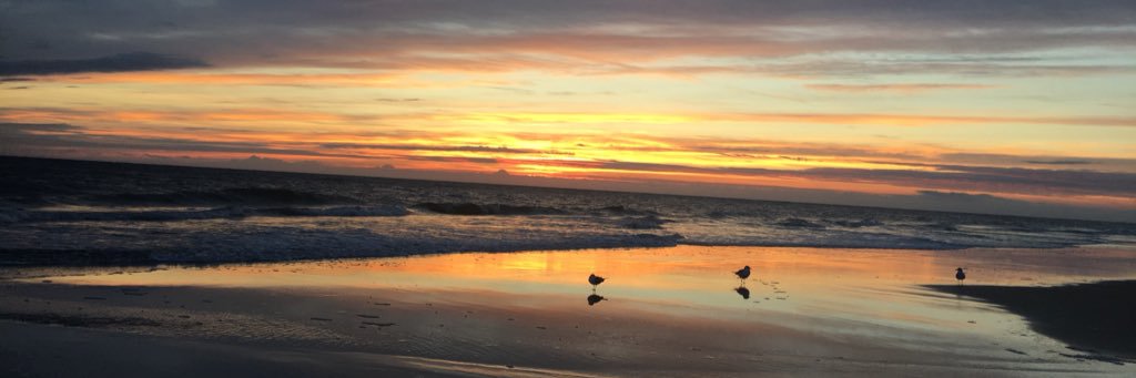 BoydCourtney's profile banner image