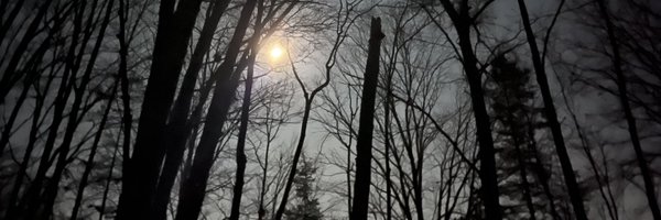 audiopanacea Profile Banner