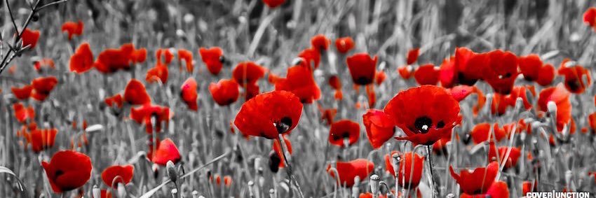 DundasPipeBand's profile banner image