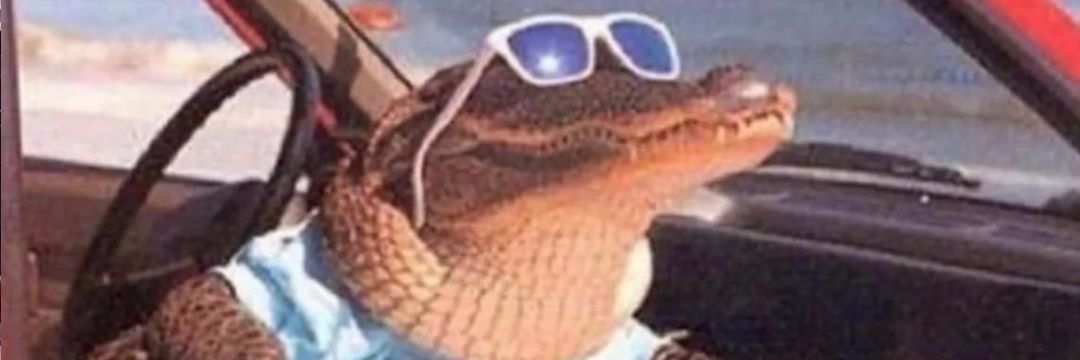 spaceheaterrr's profile banner image