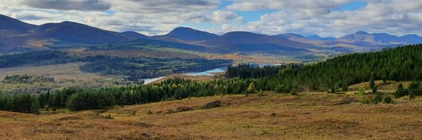 themadam13 Profile Banner