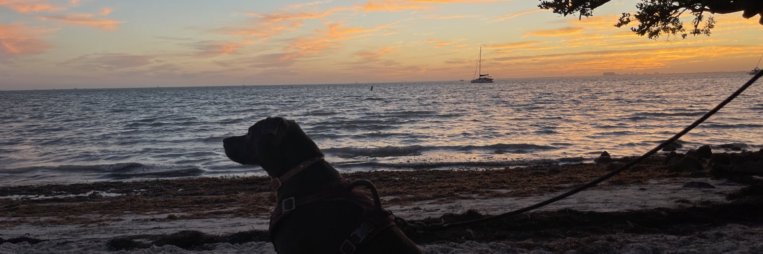 giulesduzit's profile banner image
