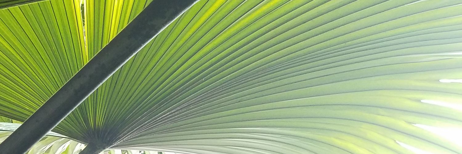 ShadeWinfrey's profile banner image