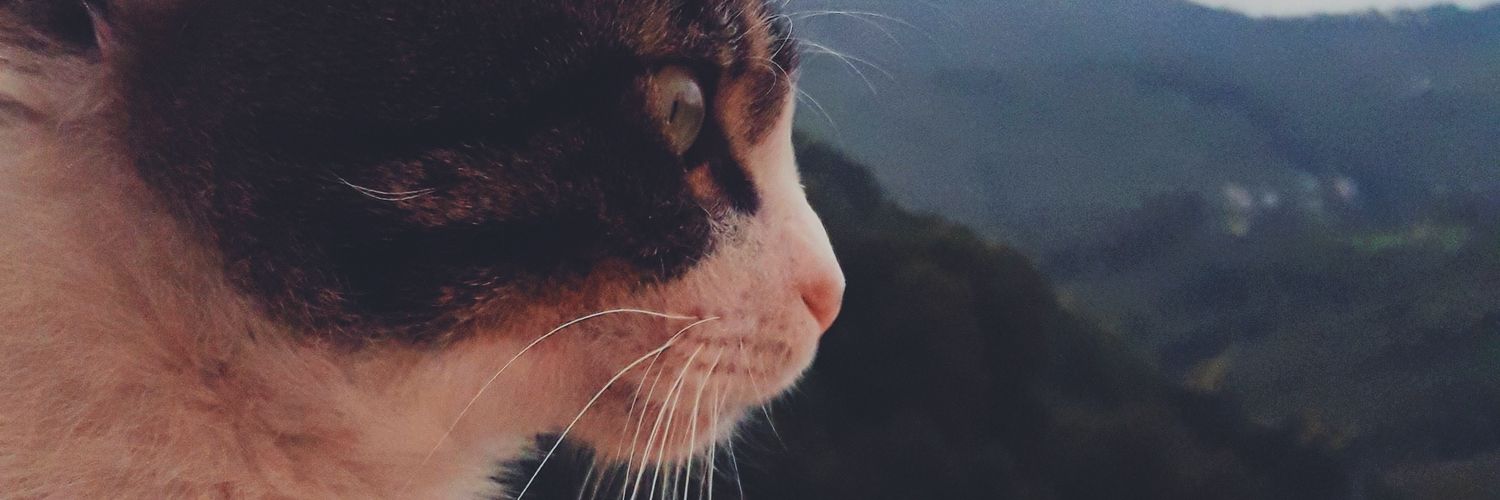 apoosbeey's profile banner image