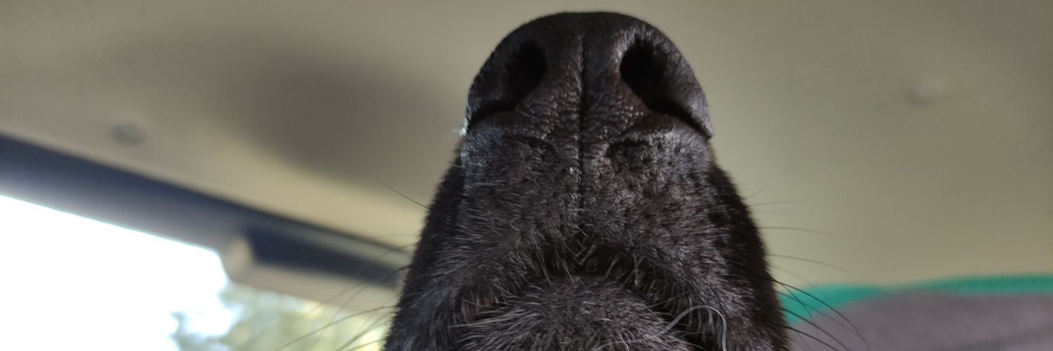 MJedraszek's profile banner image
