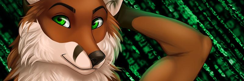 Xijque's profile banner image