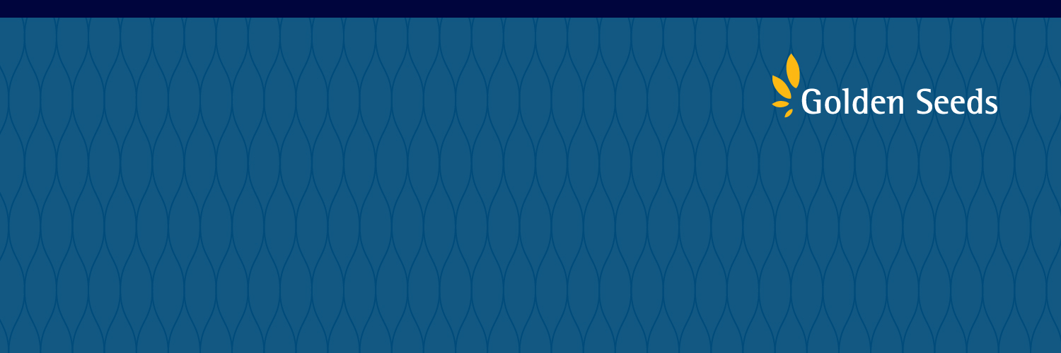 GoldenSeeds's profile banner image