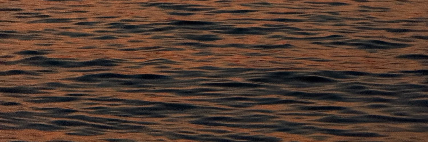 yonnnski's profile banner image