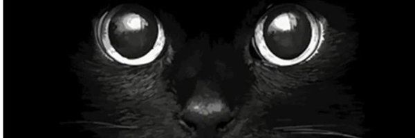 OneMoreTattoo_ Profile Banner