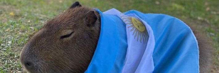 bracom94's profile banner image