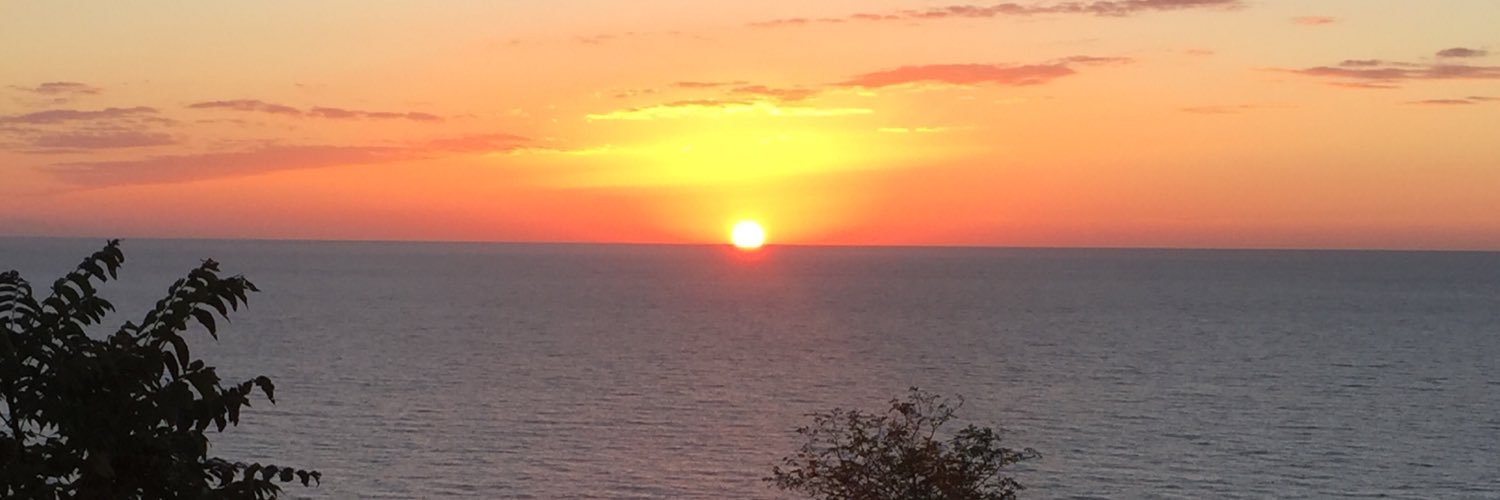 FrancescaVivace's profile banner image