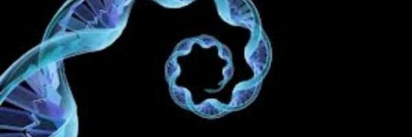 UNCC_BIGScience Profile Banner