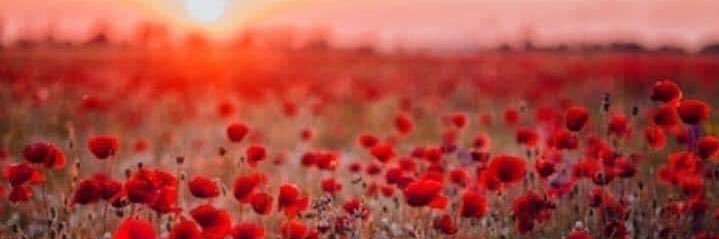 June Moultrie #VoteReform 🗳️🩵 banner