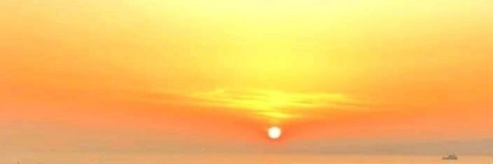 ZOEMARTINES's profile banner image