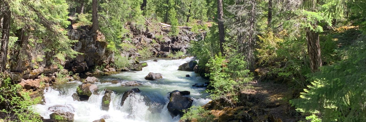 Lisa Heyamoto banner