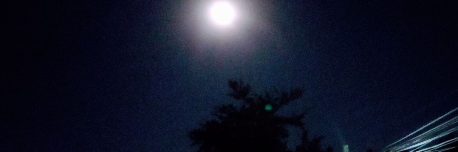 misago666's profile banner image