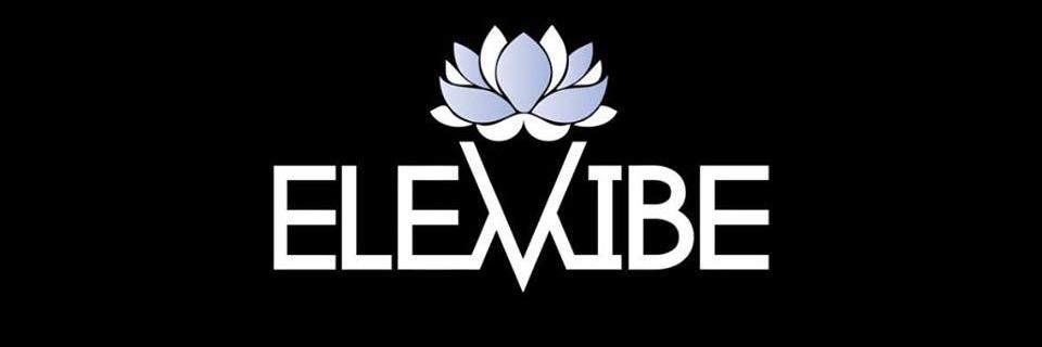 Ele Vibe banner