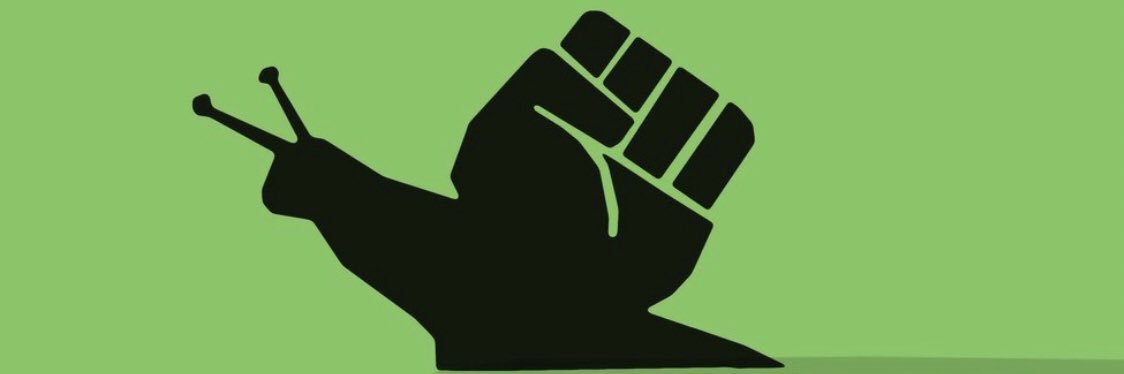 @Bunea.bsky.social banner