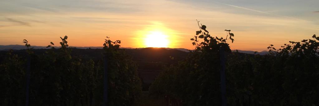 Azmo1338 🌘⚡⚛ banner