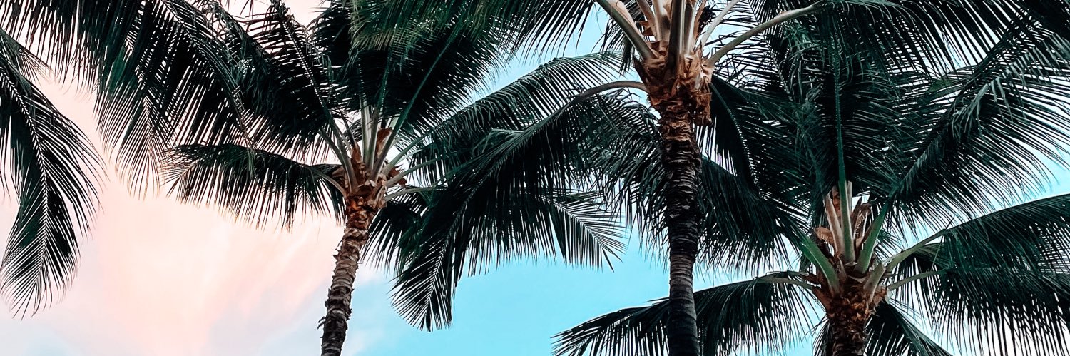 mandyismee's profile banner image
