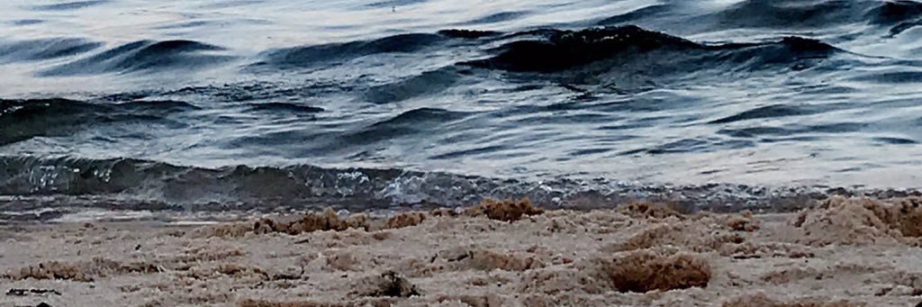 ~ banner
