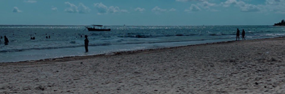 ericanelas's profile banner image