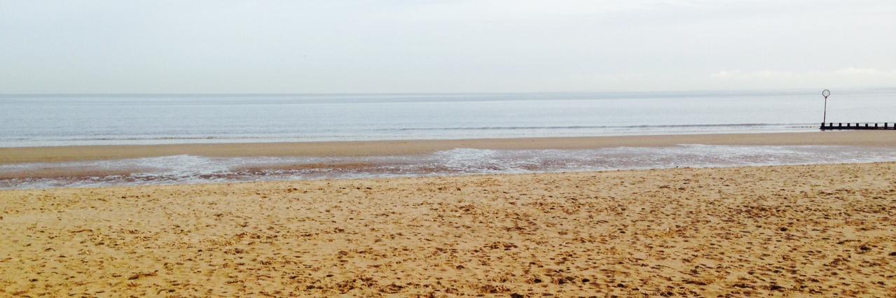 Lynn O'Rourke banner