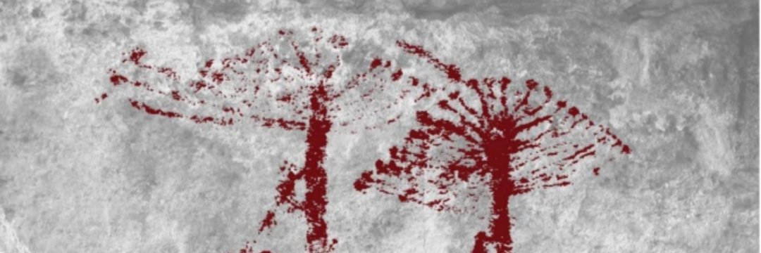 Fersperotto's profile banner image