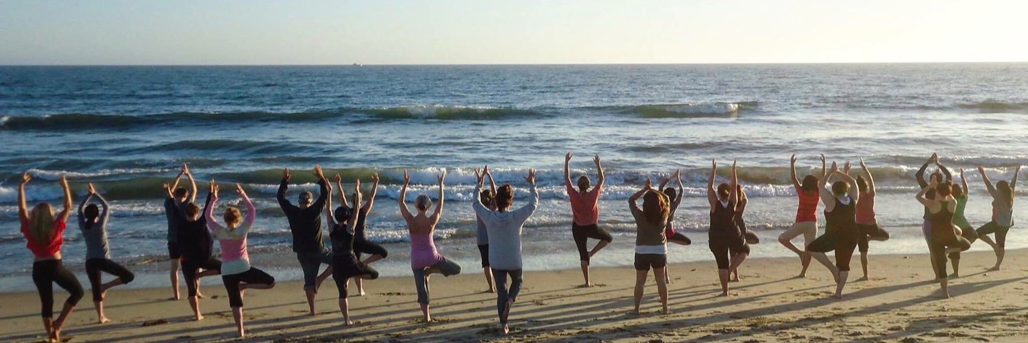 PriscillaLanni's profile banner image