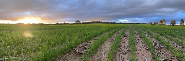 edgronomy Profile Banner