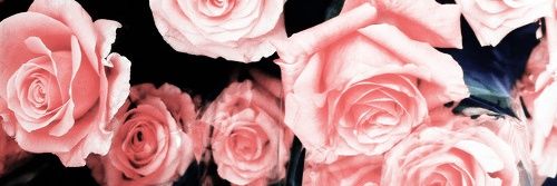 edithyanezz's profile banner image