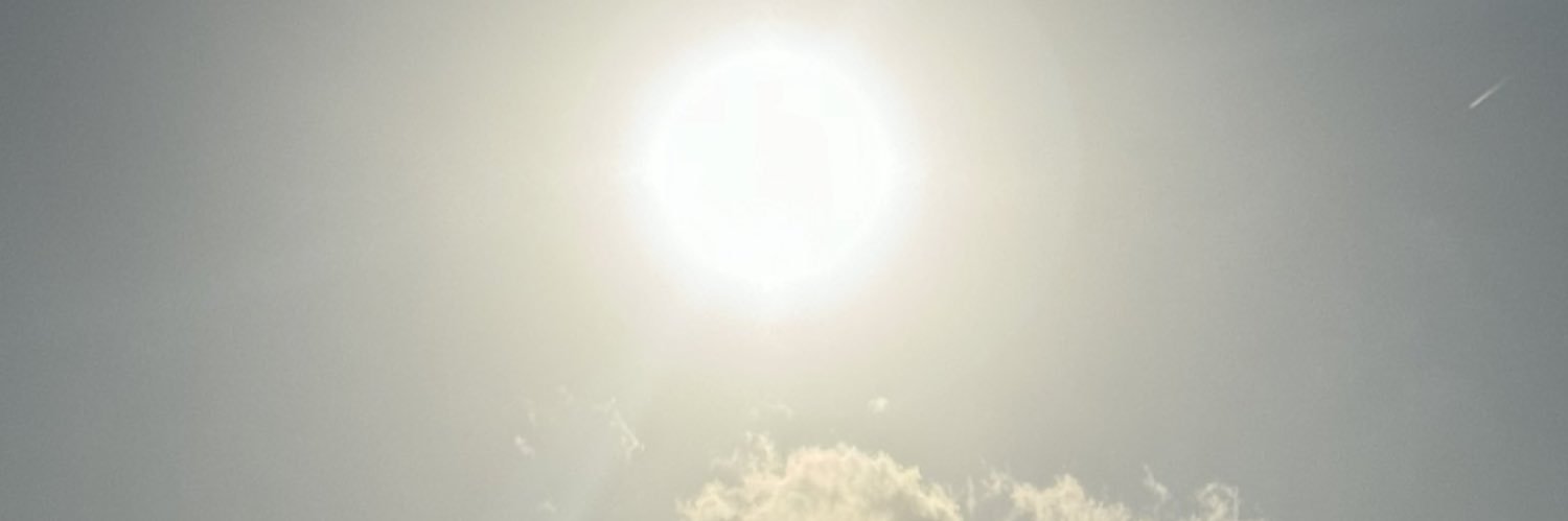 rejimenex's profile banner image