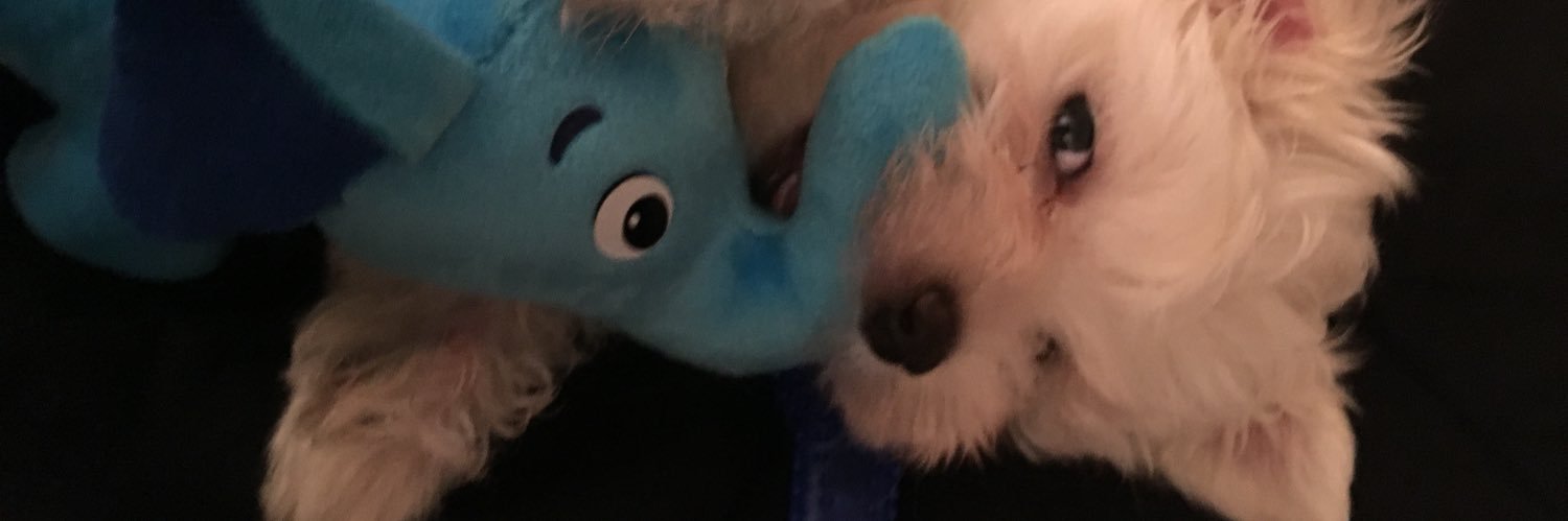 StevenSpady's profile banner image