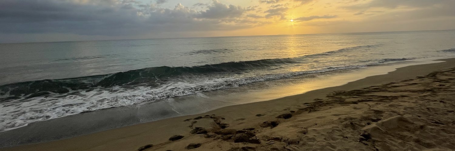 xoveronica__'s profile banner image