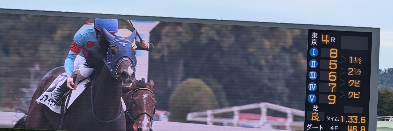 葉茶（ようちゃ）🐴【一口馬主】 banner