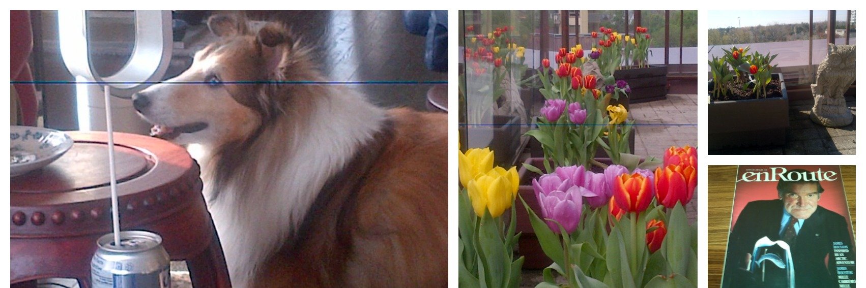 Barbara Etlin banner