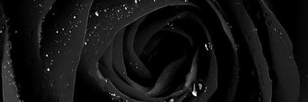 bamdizzle83's profile banner image